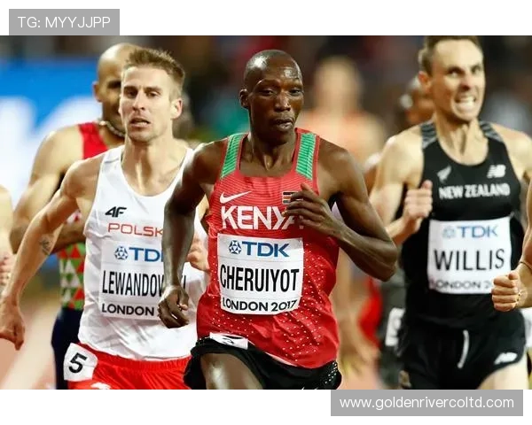 广州排球队以99分领跑精英赛积分榜展现强大实力和竞争优势